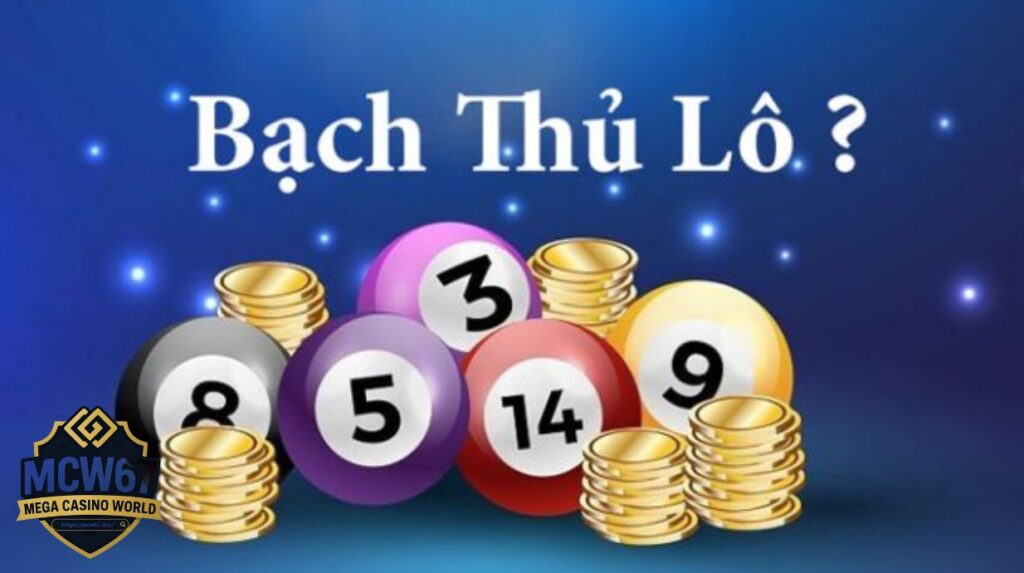 Bạch Thủ Lô Là Gì?