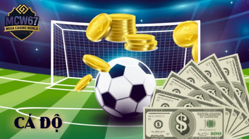 Giới thiệu về cá độ bóng đá