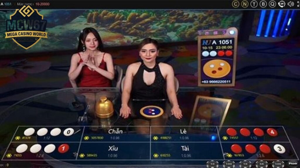 Câu Hỏi Thường Gặp Về Cách Chơi Xóc Đĩa