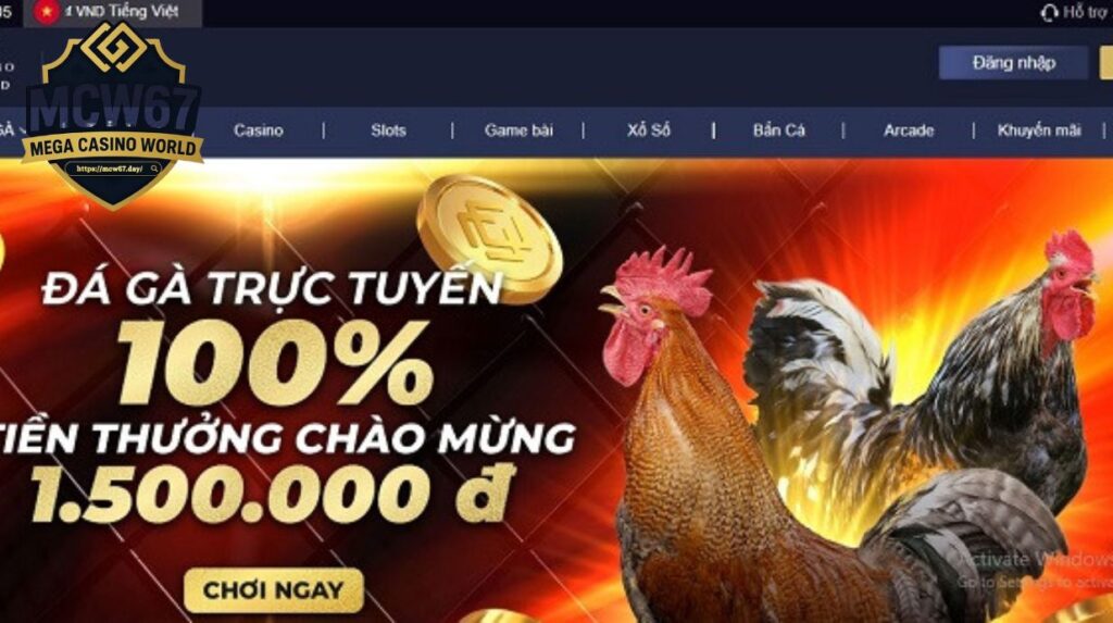 MCW67 Là Gì và Tại Sao Cần Đăng Nhập?