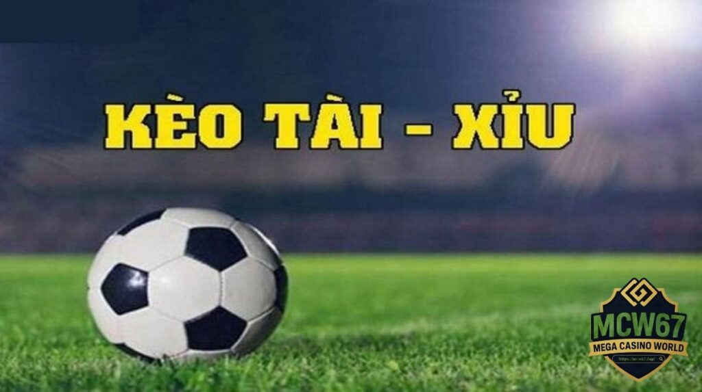Mẹo soi kèo tài xỉu từ cao thủ 10 năm kinh nghiệm