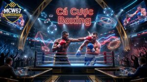 Cá Cược Boxing - Hướng Dẫn Chi Tiết Từ A–Z Cho Người Mới 